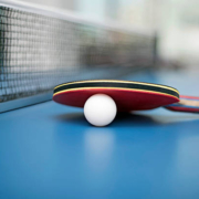 racchetta da ping pong